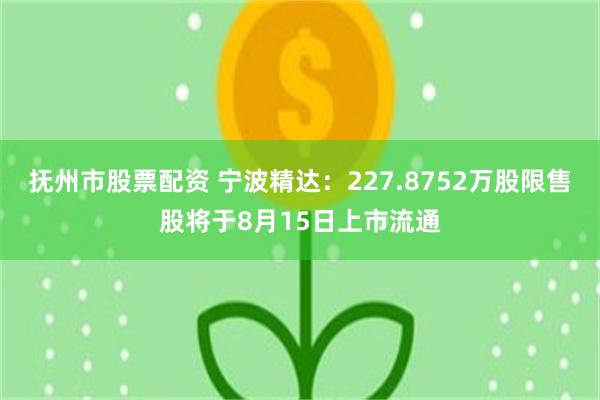 抚州市股票配资 宁波精达：227.8752万股限售股将于8月15日上市流通