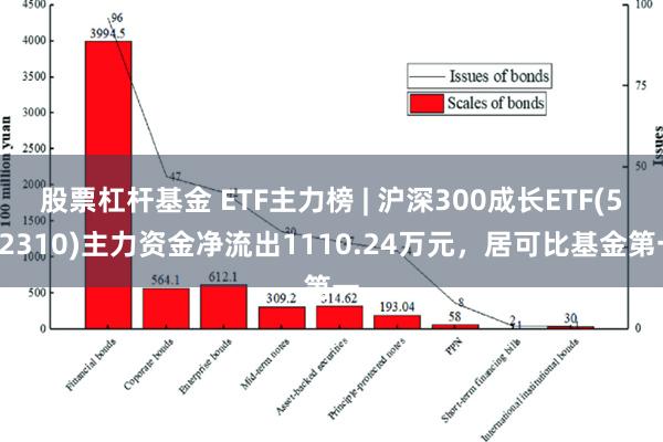 股票杠杆基金 ETF主力榜 | 沪深300成长ETF(562310)主力资金净流出1110.24万元，居可比基金第一