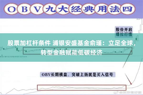 股票加杠杆条件 浦银安盛基金俞瑾：立足全球，转型金融赋能低碳经济