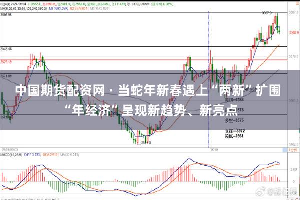 中国期货配资网 · 当蛇年新春遇上“两新”扩围 “年经济”呈现新趋势、新亮点