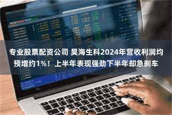 专业股票配资公司 昊海生科2024年营收利润均预增约1%！上半年表现强劲下半年却急刹车