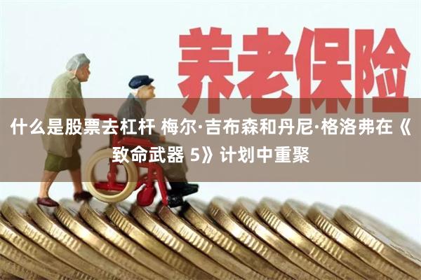 什么是股票去杠杆 梅尔·吉布森和丹尼·格洛弗在《致命武器 5》计划中重聚