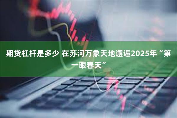 期货杠杆是多少 在苏河万象天地邂逅2025年“第一眼春天”