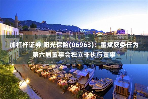 加杠杆证券 阳光保险(06963)：董斌获委任为第六届董事会独立非执行董事